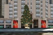 Holiday trees in 3D