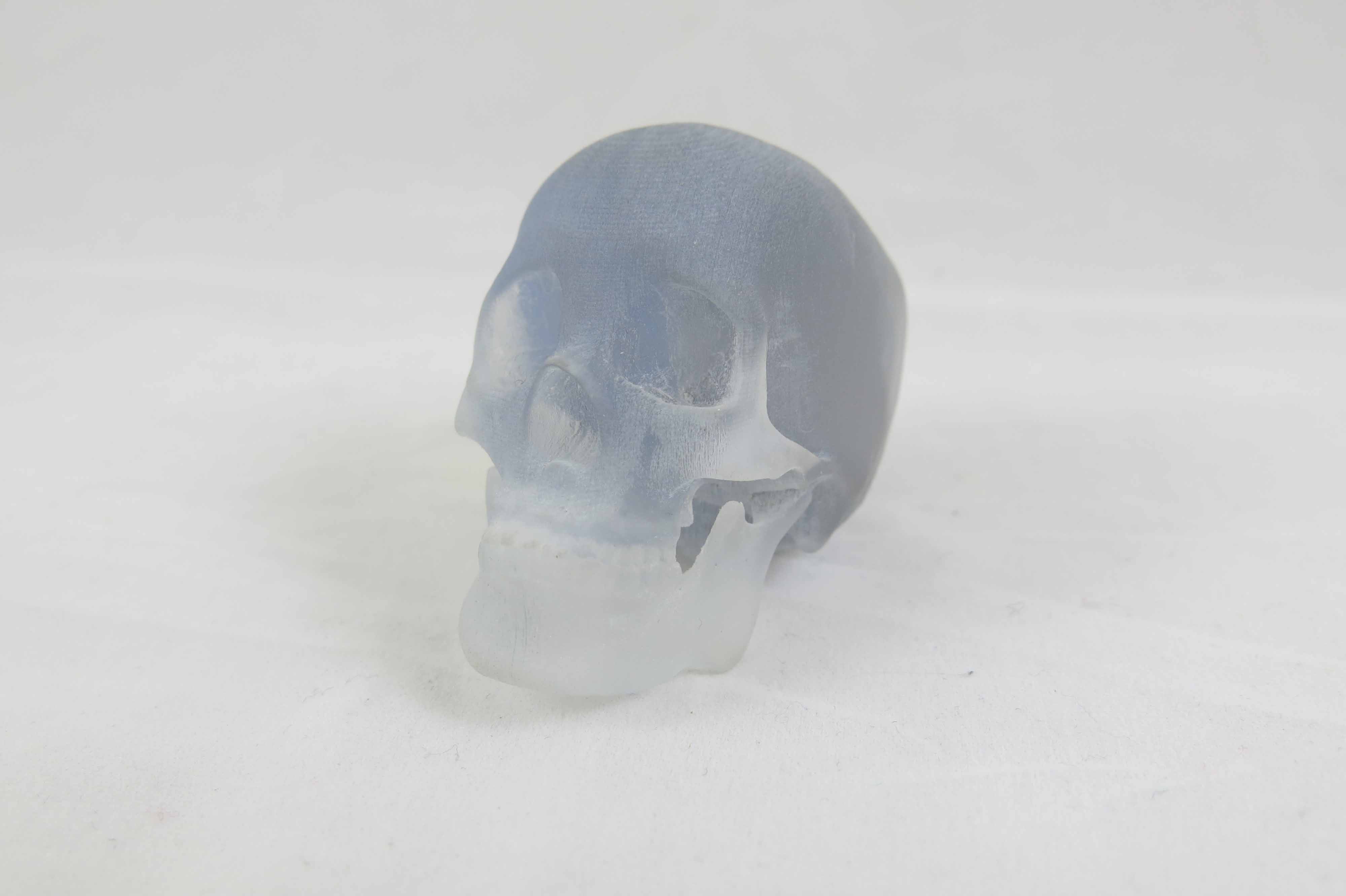 Skull Resin 3D print