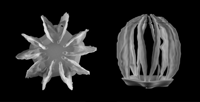 3D printing and the limits of visualization