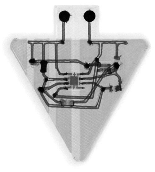 3D printed electronics X ray image
