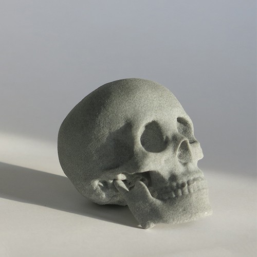 3D printed skull in grey plastic with SLS technology