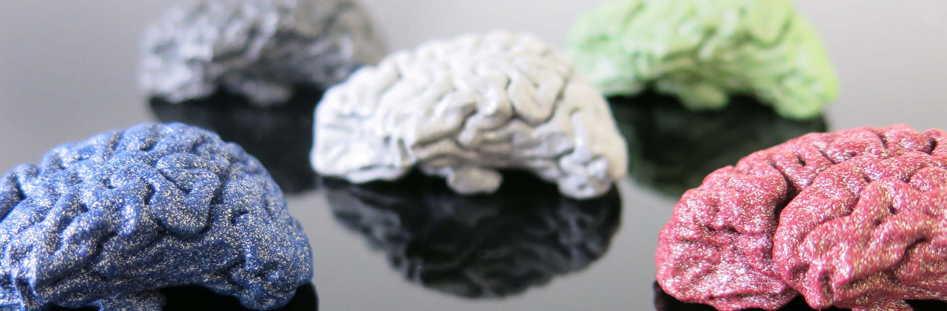 3D printed brain in polished and colored alumide blog background 1903x426px