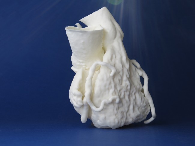 3D Printed Heart in TPU Material by Sculpteo