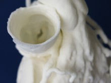 Close up on 3D Printed Heart in TPU Material by Sculpteo