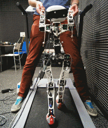 Walking 3D printed Poppy robot
