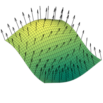 A vector field of normals on a surface