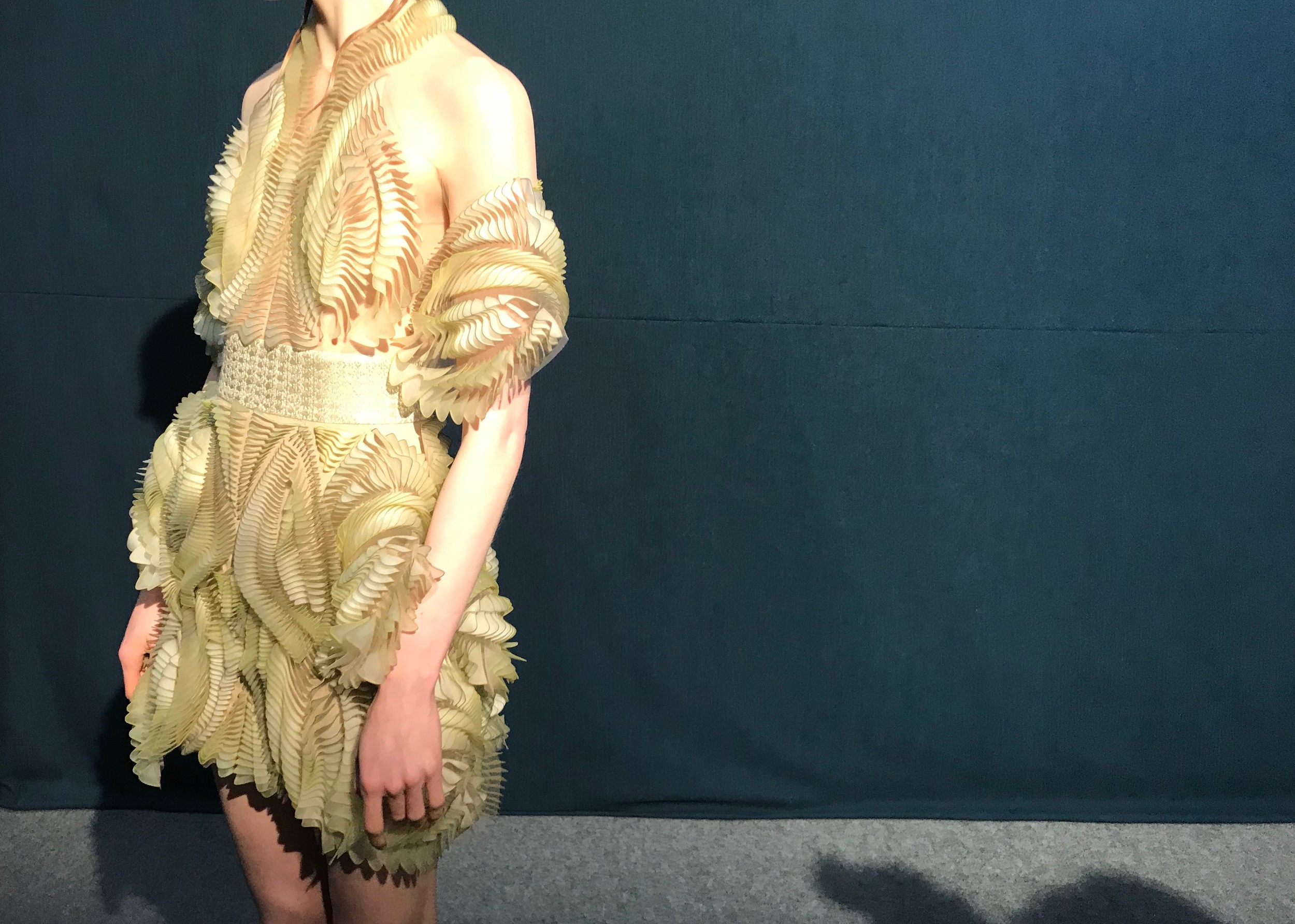 3D printed dress by Iris Van Herpen at Paris Fashion Week