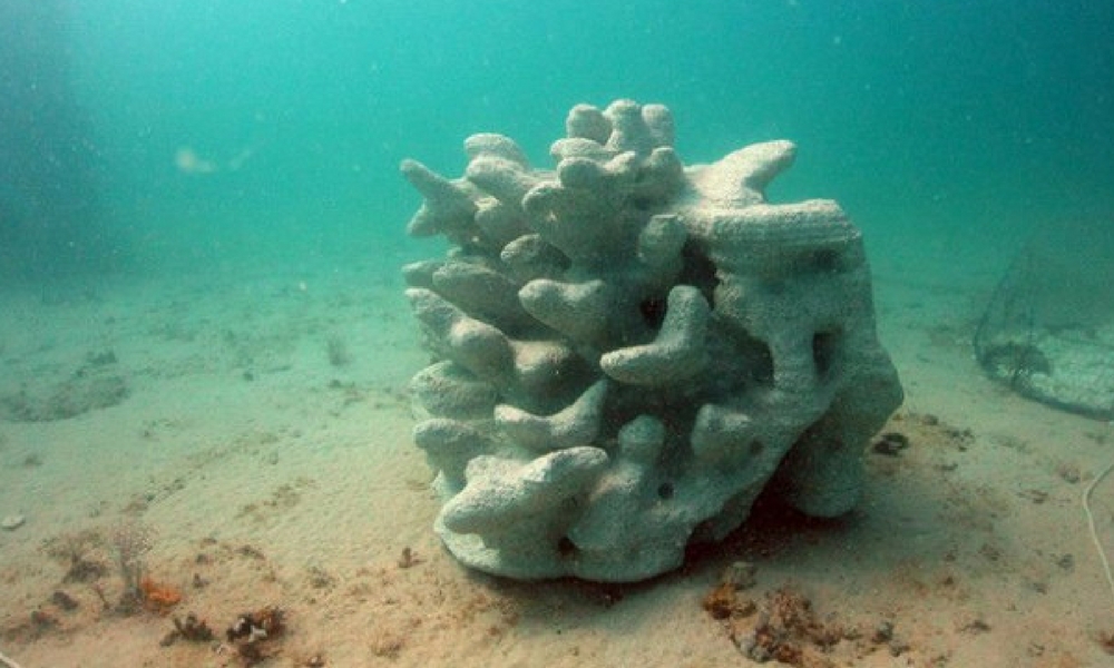Discover the Concrete 3D Printed Coral Reef Project That Could Save Marine Life!