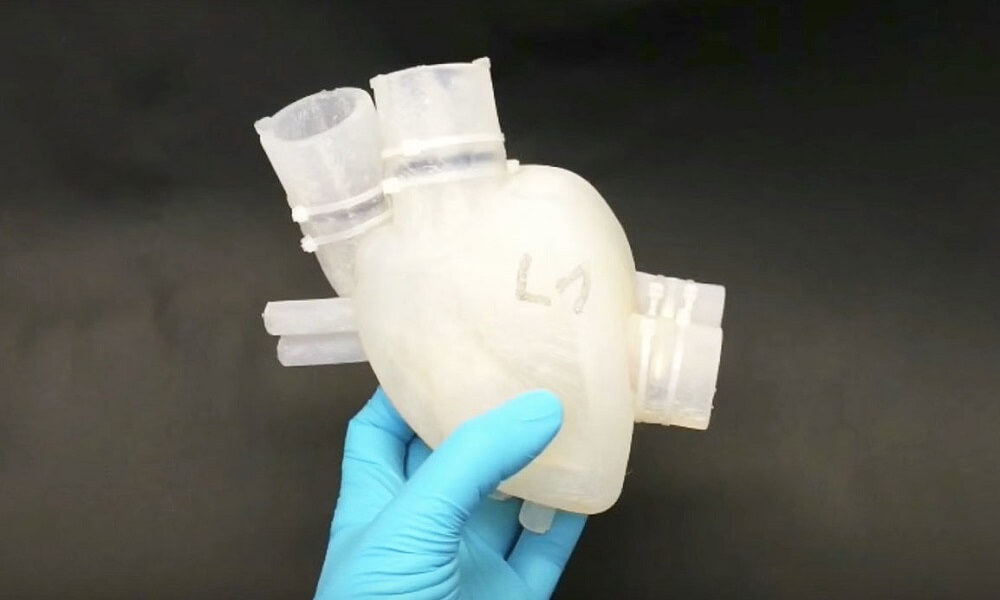 Medical 3D printing: Discover the 3D printed heart