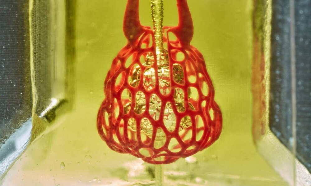 Discover the first 3D printed lung